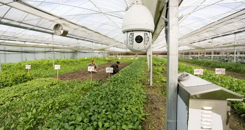 農(nóng)業(yè)園區(qū)安防 農(nóng)業(yè)園區(qū)安防